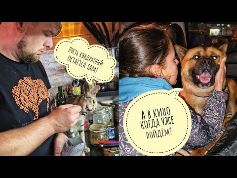 Видео: Пёс Кубик вернулся домой! Внезапный, чистый, блестящий, весь такой из Москвы!