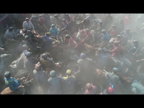 Видео: Арыс ауданы Шогирли ауылы Махамбетали кокемиздин бата кокпары Арыс кокпар