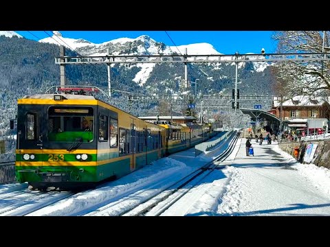 Видео: Горная деревня Венген в Швейцарии полностью покрыта снегом🇨🇭