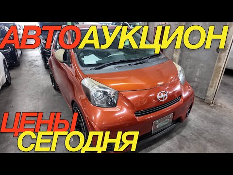 Видео: ЯПОНЦЫ УДИВЛЯЮТ TOYOTA IQ AURIS STEPWGN HONDA WRX STEPWGN SUZUKI ESCUDO CITROEN C3 AIRCROSS