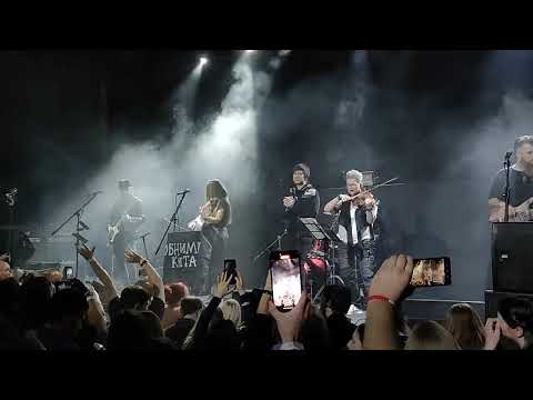 Видео: Ты для меня.  Евгения Рыбакова & Обними кита & Денис Михайлов live