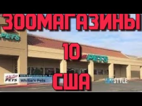 Видео: Зоомагазины США  "Whitie's Pets"  Другой  Мир. Часть 1.
