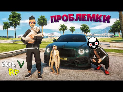 Видео: МЫ В ОТВЕТЕ ЗА ТЕХ, КОГО ПРИКОРМИЛИ :D ОБНОВА С ПИТОМЦАМИ В ГТА 5 РП (ECLIPSE GTA 5 RP)