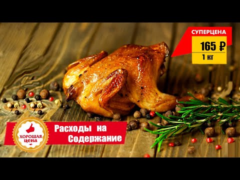 Видео: Выгодно ли держать перепелов на мясо. Расходы на содержание перепелов.