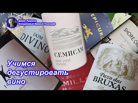 Видео: Учимся дегустировать вино