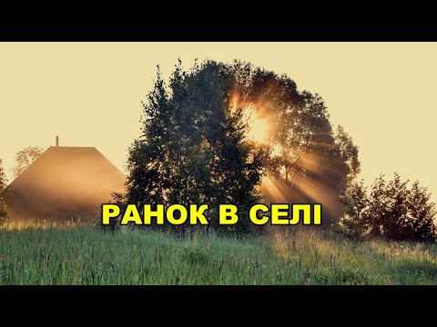 Видео: Ранок в селі (сільський ранок)