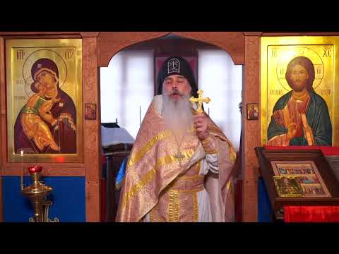 Видео: КРОНШТАДТСКИЙ ПАСТЫРЬ и мы!!! #СхиигуменГАВРИИЛ (Виноградов-Лакербая) #записьПРОПОВЕДИ