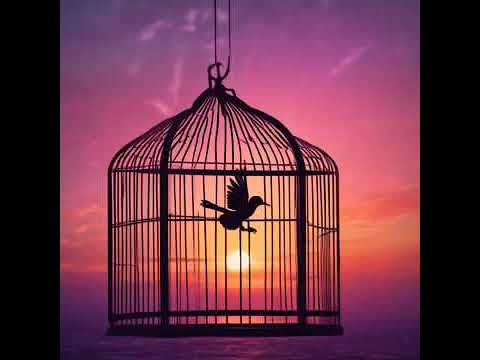 Видео: Еріксіз #әдемімузыка #хит музыка 2025 #хит өлең 2025