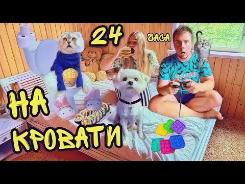 Видео: 24 ЧАСА НА КРОВАТИ С КОТАМИ И СОБАКОЙ! БИЛЛИ И КЕВИН В ШОКЕ!