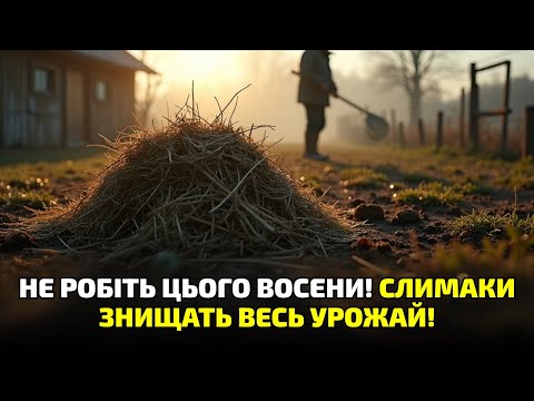 Видео: Слимаки тікають миттєво! Секретна пастка з сіном і тирсою, про яку мовчали старі городники!