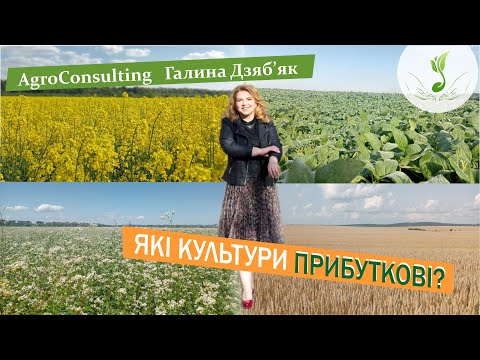 Видео: Беззбитковий рівень урожайності основних культур