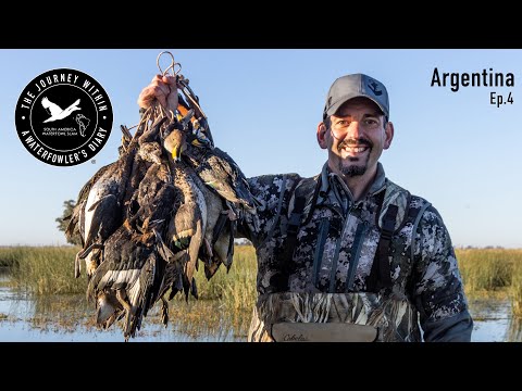 Видео: Ещё одна охота на уток в Аргентине | Путешествие внутрь, Южная Америка, охота на водоплавающую дичь