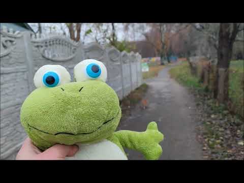 Видео: Жабинка