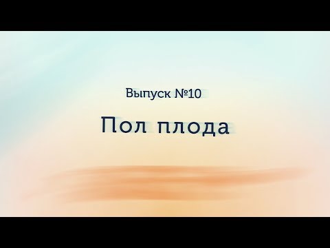 Видео: Пол плода