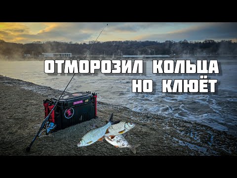 Видео: CF Alpha в ALSR712ULS в мороз | Ловлю лютую плотву на воблеры