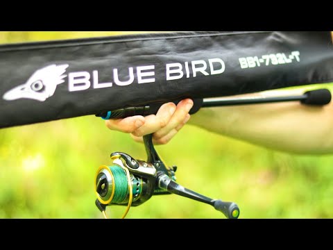 Видео: Большой обзор спиннинга Favorite Blue Bird 20 (BB1-732L-T). Лучший спиннинг для ДЖИГА и не только