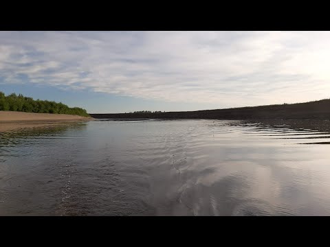 Видео: Рыбалка на Туре в начале июля 2020