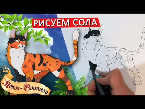 Видео: КАК НАРИСОВАТЬ СОЛА ИЗ КОТОВ ВОИТЕЛЕЙ, ПРОСТОЙ СПОСОБ