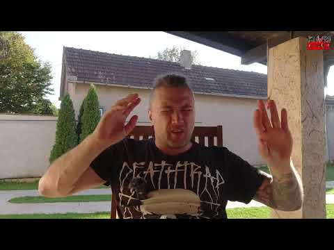 Видео: Черные риэлторы/ Цена на перевозку вещей в Сербию/ Авито/ ВНЖ