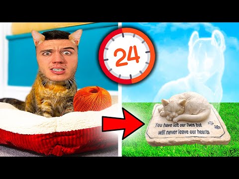 Видео: ЖИВЕЯ И УМИРАМ КАТО КОТКА ЗА 24 ЧАСА | CAT LIFE SIMULATOR!