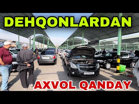 Видео: 26 октября 2025 г.SERGELI MOSHINA BOZORI DEHQONLARDAN NARXLAR KESKIN TUSHDI SERGELI MOSHINA BOZORI