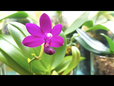 Видео: Большой Беглый Обзор. Ноябрь 2024. Часть Два.