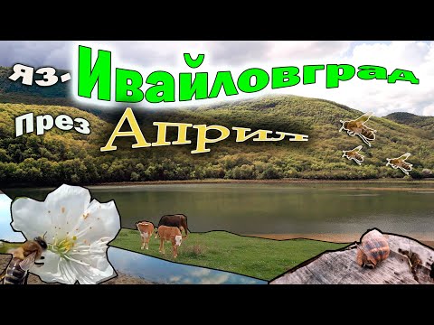 Видео: Пролет на язовир Ивайловград.Април 2024.4К видео.Spring at the Ivaylovgrad dam.