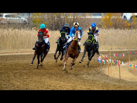 Видео: ЗАКРЫТИЕ СКАКОВОГО СЕЗОНА 2024 🏇🏻🏆 #VLOGSIMAK