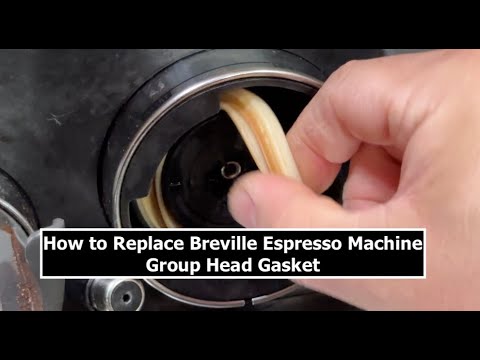 Видео: Как заменить прокладку головки группы | Breville Barista Pro / Express
