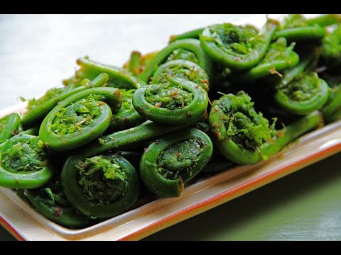 Видео: Папоротник Страусник. Собираем и готовим.