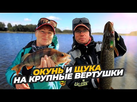 Видео: Окунь и щука на крупные вертушки