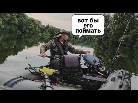 Видео: Неуловимый трофей прячется от Подсечки. Ловля сома 2025
