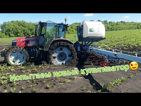 Видео: Испытываем межрядный культиватор Agrokraft. Будни тракториста. Сахарная свёкла 2022.