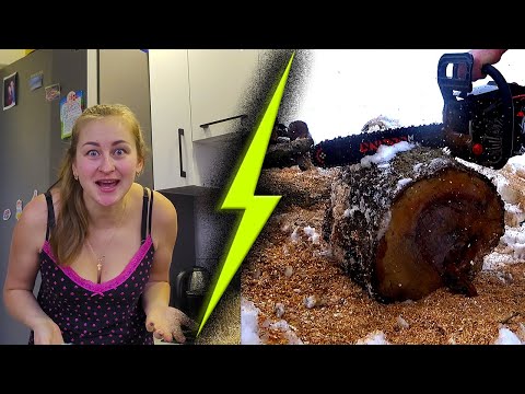 Видео: ❗️Пилит лучше чем Жена❗️ Бензопила цепная Dnipro-M DSG-45H✅️