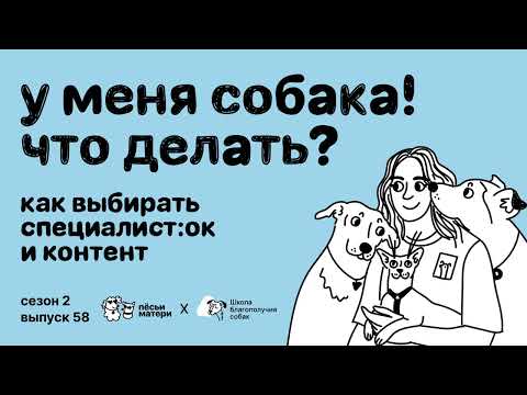 Видео: У меня собака! Что делать? Как подбирать специалистов и контент