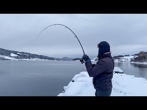Видео: Рыбалка в глухозимье 2024 Норвегия! Не ЖОР, но с рыбой!