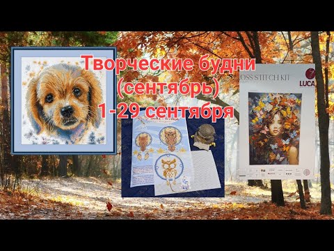 Видео: Творческие будни (сентябрь) 1-29 сентября