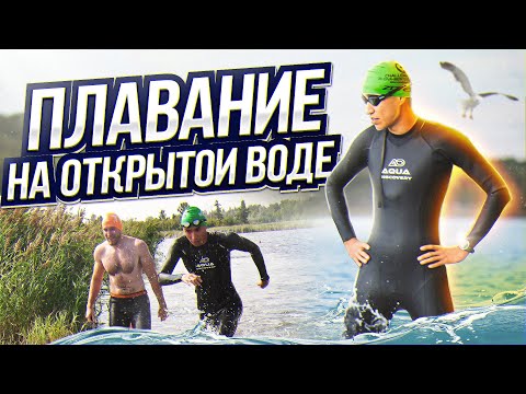 Видео: Плавание на открытой воде. Тренировка. Триатлон