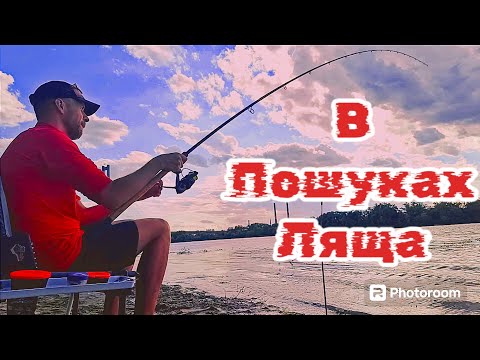 Видео: Вечірній вихід на Ляща. Південний міст. Рибалка в Києві. #рибалка #fishing #фідер #лящ