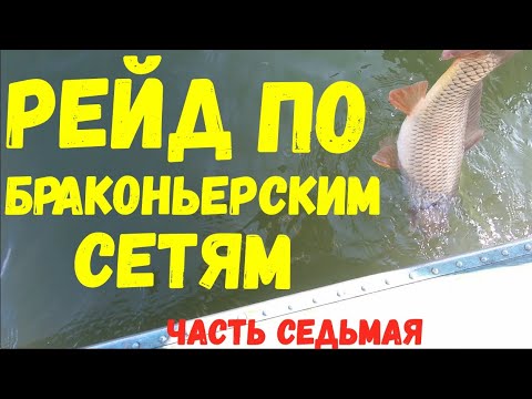 Видео: Рейд по браконьерским сетям. Часть седьмая