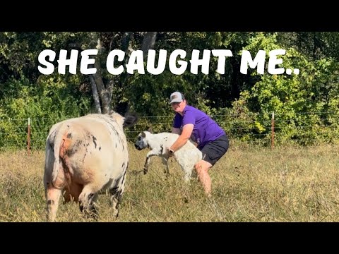 Видео: Мы нашли ее ребенка, и она недовольна!
