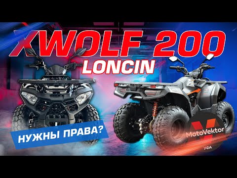 Видео: Обзор на Loncin Xwolf 200. Нужны права? #квадроцикл #loncin #atv