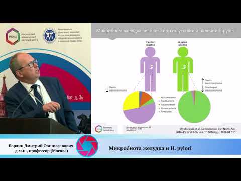 Видео: Микробиота желудка и H. pylori