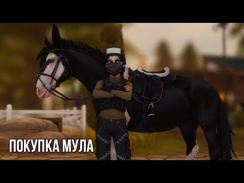 Видео: Мулы и немножечко о важном | Star Stable Online