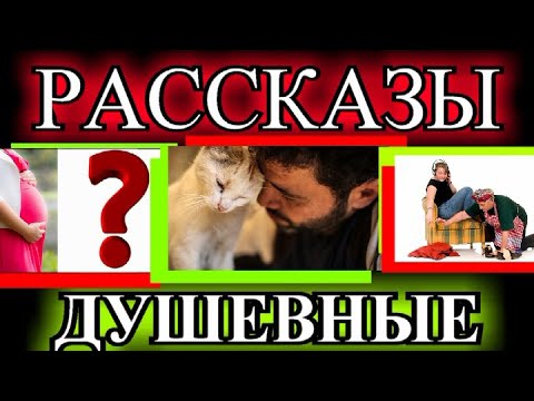 Видео: ДУШЕВНЫЕ РАССКАЗЫ❤️НОВАЯ СОСЕДКА❤️МУЖЧИНЕ ОДНОМУ ПЛОХО❤️КОМПОТ❤️ПОПУТЧИКИ❤️@TEFI РАССКАЗЫ