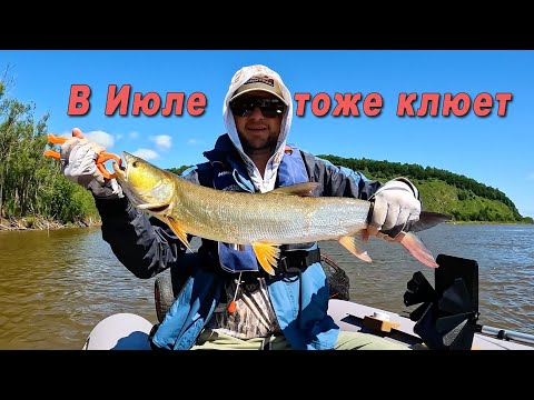 Видео: Удачная рыбалка на спиннинг в июле, Важно - правильно провести приманку