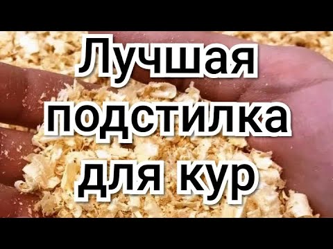 Видео: Лучшая подстилка для кур.