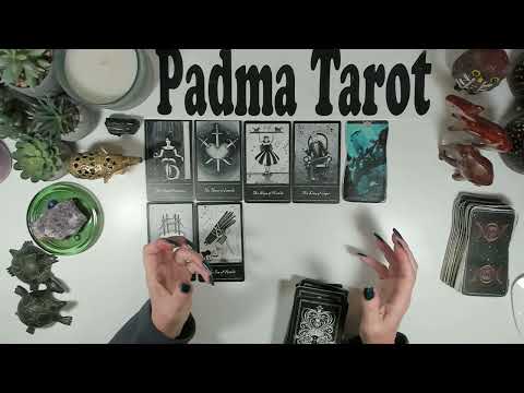 Видео: СТРЕЛЕЦ♐️УДАЧНЫЙ ПРОРЫВ! 10-16 НОЯБРЯ КАРЬЕРА И ФИНАНСЫ 💰Еженедельное гадание на картах Таро 🔮💫