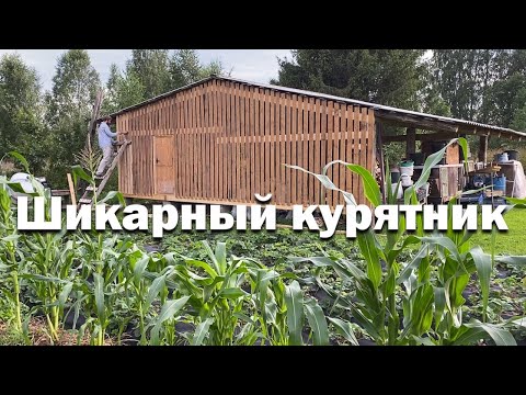 Видео: Дворец для кур // курятник из старого навеса