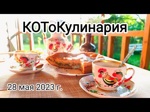Видео: КОТоКулинария - отрада души и тела или КОТоБудни 28 мая 2023 г.